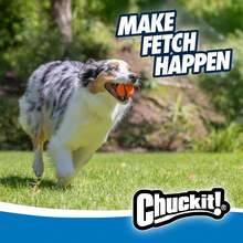 Chuckit! Ultra Ball Dog Toy - Medium Bouncy Fetch Balls For Dogs 20-60 Lbs - Made From Durable Rubber - Floating Water Pet Toys - Size Medium - 2.5-Inch Diameter - Pack Of 4 - 中號(8 桶裝) - 查看 5
