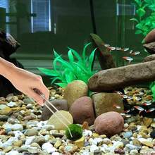 2pcs 10.6 Inch (Approx. 27.0 Cm) Extra Long Aquarium Tweezers, Stainless Steel Straight & Curved Forceps Set, Long Handle For Terrarium, Feeding Reptiles, Aquarium Plant Care & Gardening - Silver - View 10