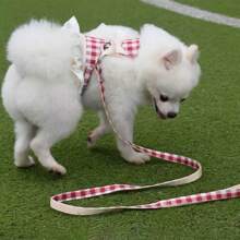 Pet Harness And Leash Set, Suitable For All Seasons, Soft Mesh Comfortable Breathable High-End Fashion Personalized Adjustable Cat Harness Cat Leash, Small Pet Vest-Style No-Leash Neck Dog Leash, Suitable For Cats And Small Dogs To Go Out For A Walk.