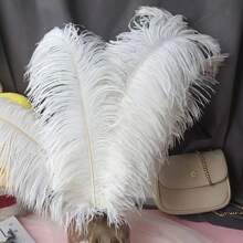 6pcs High-Quality Artificial Feather Room Decor, Wedding Decoration, Lightweight And Soft With Fine Texture,Fall Decor,Autumn