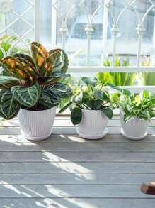 1pc Simple Plastic Resin Delivery Tray Thickened Green Plant Potted Pot Colorful Round Pot Vertical Striped Flower Pot
