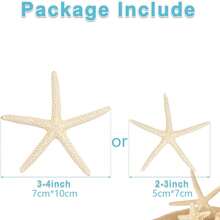 5/10 件小海星工艺品 2 英寸至 4 英寸天然海星装饰散装，用于婚礼海滩主题装饰家居 DIY 工艺品装饰圣诞树海星饰品
