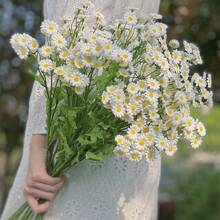 1PC/6pcs Realistic Daisy Artificial Flowers - Lifelike Chamomile Bouquet For Wedding/Home Decor, Mother's Day Gift & Party Arrangements