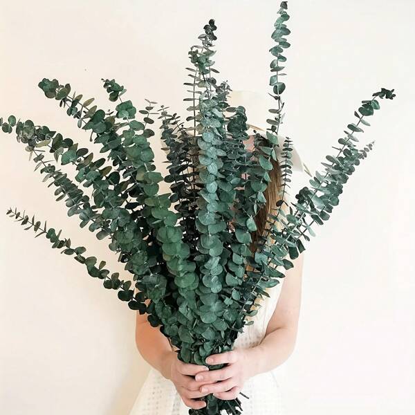 14/20 pièces comprimés de bain à l'eucalyptus - 17 pouces