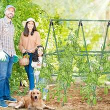 Metal Garden Trellis Support Set, Durable Plant Climbing Rack Suitable For Various Fruits, Plants, Vegetables, Greenhouses, Essential For Outdoor Planting - Army Green - View 10