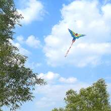 1pc Parrot Kite +100 Cm Linear Parrot Kite, Suitable For Beginners-Flying Easily In The Breeze, Colorful And Beautiful, Very Suitable For Adults, Ideal For Outdoor Family Activities, Enjoying Endless Fun In Parks, Beaches And Grasslands.