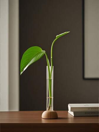 1 قطعة مزهرية من البامبو للنباتات المائية، ديكور منزلي لغرفة المعيشة وطاولة الطعام وغرفة المكتب، مزهرية زجاجية