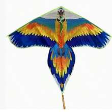 1 طائرة ورقية بشكل بغبغاء + 100 سم طول طائرة بغبغاء ورقية، مناسبة للمبتدئين، تطير بسهولة مع نسيم الهواء، ملونة وجميلة، مناسبة جدًا للبالغين، مثالية للأنشطة العائلية الخارجية، لالاستمتاع بالمرح اللانهائي في الحدائق والشواطئ والأراضي المفتوحة - متعدد الألوان - مشاهدة 6