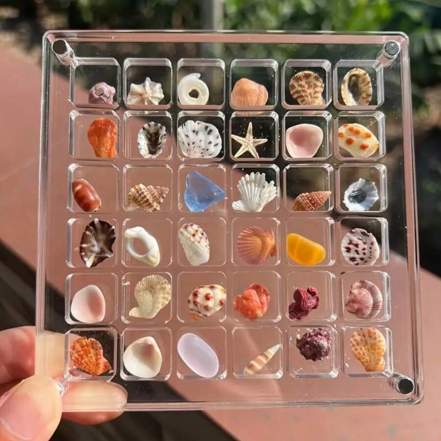 1pc - 36 Grid Acrylic Shell Display Box, Rhinestone Gem Earrings Jewelry Transparent Display Case, Jewelry Storage Display Box, Jewelry Box, Jewelry Case, Decorative Storage Space For Starfish, Shell, Gems And Crafts - Multi-Functional Storage Box With Magnetic Closure, Transparent Display Box, Suitable For Storing Rhinestones, Gems, Earrings, Rings And Jewelry, Perfect For Jewelry Storage And Display, No Power Required Storage Box, Great For Home Decor And Beach Theme Display Back To School