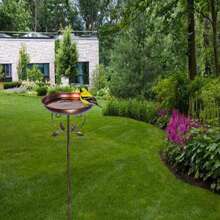 1 Piece European Cast Iron Retro Courtyard Bird Bathing Feeder Villa Garden Rust Anti-Oil Outdoor Decoration Dual-Purpose Wild Bird Perch Observatory Festival Wedding Theme Decoration Bird Watching Enthusiast Practical Gift