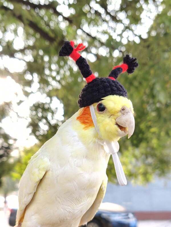 قبعة الزخرفية المضفرة الزينة الخاصة بالحيوانات الأليفة للببغاء لالتقاط الصور