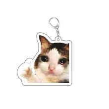 胡言乱语的山羊 嗯？猫咪表情包钥匙扣 困惑的猫咪表情包 猫咪爪子盖在头上尖叫 送给朋友的可爱礼物 女士钥匙扣 学校字母汽车饰品 哥特风 Y2K 礼物 送给母亲、父亲、毕业生和老师 - 彩色 - 查看 17