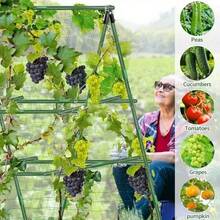 Metal Garden Trellis Support Set, Durable Plant Climbing Rack Suitable For Various Fruits, Plants, Vegetables, Greenhouses, Essential For Outdoor Planting - Army Green - View 11