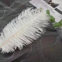 6pcs High-Quality Artificial Feather Room Decor, Wedding Decoration, Lightweight And Soft With Fine Texture,Fall Decor,Autumn