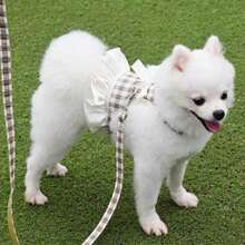Pet Harness And Leash Set, Suitable For All Seasons, Soft Mesh Comfortable Breathable High-End Fashion Personalized Adjustable Cat Harness Cat Leash, Small Pet Vest-Style No-Leash Neck Dog Leash, Suitable For Cats And Small Dogs To Go Out For A Walk.