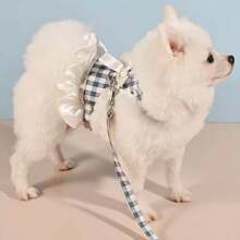 Pet Harness And Leash Set, Suitable For All Seasons, Soft Mesh Comfortable Breathable High-End Fashion Personalized Adjustable Cat Harness Cat Leash, Small Pet Vest-Style No-Leash Neck Dog Leash, Suitable For Cats And Small Dogs To Go Out For A Walk.