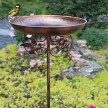 1 Piece European Cast Iron Retro Courtyard Bird Bathing Feeder Villa Garden Rust Anti-Oil Outdoor Decoration Dual-Purpose Wild Bird Perch Observatory Festival Wedding Theme Decoration Bird Watching Enthusiast Practical Gift
