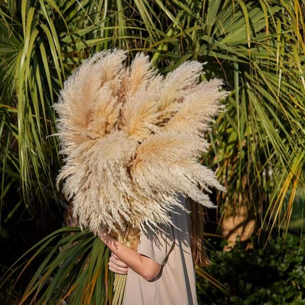 4 Pcs/14 Stems, 38 Inch Pampas Grass Dried Decoration, Tall,Fall Decor,Autumn