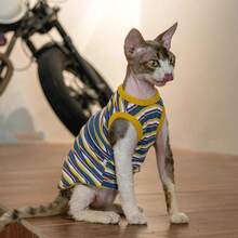 Maillard Color Pet Clothes For Hairless Cats, Sphynx & Devon Rex Cats, Elastic Criss-Cross Striped Elastic Vest, Summer - Blue - View 7