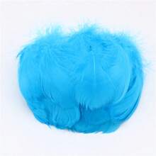 100 Stück bunte Gänsefedern 4-7cm klein & groß, für Traumfänger, Handwerk, Hochzeit, Geburtstag, Party, DIY Dekorationen