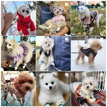 Disposable Pet Foot Covers, Non-Woven Waterproof Anti-Slip Dog Leg Sleeves, Washable Pet Shoes - Multicolor - View 7