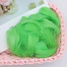 100 Stück bunte Gänsefedern 4-7cm klein & groß, für Traumfänger, Handwerk, Hochzeit, Geburtstag, Party, DIY Dekorationen