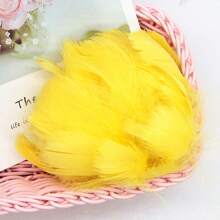 100 Stück bunte Gänsefedern 4-7cm klein & groß, für Traumfänger, Handwerk, Hochzeit, Geburtstag, Party, DIY Dekorationen