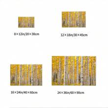 Aspen Trees In Colorado On A Beautiful Fall Day Poster Framed Wall Art - 1 Poster Artwork Canvas Print - Home Living Room Office Cafe Wall Decor, Perfect Gift And Home Decor, Ready To Hang