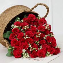 1/3PCS White Artificial Carnation Plastic Flowers Bouquet Mother's Day Gifts Birthday Party Decoration Wedding Flower Basket Bride Holding Flowers Home Decoration Dining Room Bedroom Windowsill Vase Decoration New Year Decoration Outdoor Garden Start Of School Season