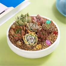 102/300/500 Pieces Of Mini Turtles, Mini Turtle Statues, Mini Resin Marine Animal Sparkling Turtle Statues, Suitable For DIY Garden Sculpture, Dollhouse, Aquarium Decoration, Cartoon Colored DIY Accessories, Aquarium Turtle Models, Turtle Nail Accessories For Marine Animals. Small Gifts For Birthday Parties And Weddings [Pay Attention To Size, They Are Microscopic]