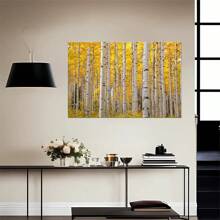 Aspen Trees In Colorado On A Beautiful Fall Day Poster Framed Wall Art - 1 Poster Artwork Canvas Print - Home Living Room Office Cafe Wall Decor, Perfect Gift And Home Decor, Ready To Hang