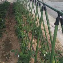 16pcs Coated Support Poles, For Fruits And Vegetables, 8 Poles + 8 Accessories, Suitable For Climbing And Fixing Vegetables, Fruits, Vines And Flowers Growth, Ideal For Garden And Yard