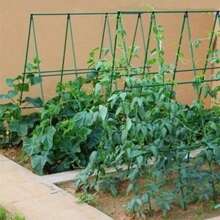19pcs/Set Plant Climbing Rack, Plastic Coated Steel Pipe Inner Diameter 0.43 Inch Thin Steel Pipe, Not Easy To Age, Sturdy, Suitable For Gardening, Including 8pcs Climbing Plants & 11pcs Accessories