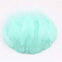 100 Stück bunte Gänsefedern 4-7cm klein & groß, für Traumfänger, Handwerk, Hochzeit, Geburtstag, Party, DIY Dekorationen