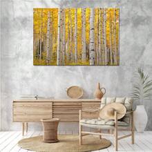 Aspen Trees In Colorado On A Beautiful Fall Day Poster Framed Wall Art - 1 Poster Artwork Canvas Print - Home Living Room Office Cafe Wall Decor, Perfect Gift And Home Decor, Ready To Hang