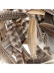 24pcs 4 Styles Natural Spotted Feathers, 6-8 Inches, Bulk For Craft, Jewelry, DIY Decoration