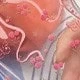 彩色