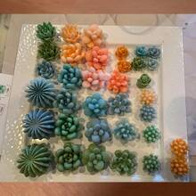 10pcs Silicone Mold Set For DIY Candle Making, Succulent And Cactus Planters Epoxy Resin Crafts, Round Planter Themed Silicone Molds For Resin Art And Decor