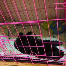 1PC Dog Cooling Mat Large Cooling Pad Summer Pet Bed For Dogs Cats Kennel Pad Breathable Pet Self Cooling Blanket Dog Crate Sleep Mat Machine Washable