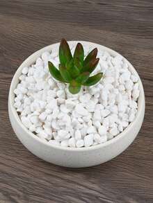 800/1600/3200/8000 件天然白色石子，适用于花瓶填充、多肉植物装饰、禅意花园石 - 光滑圆形装饰砾石，适用于水族馆景观美化、室内绿化、桌面布置、现代斯堪的纳维亚家居和婚礼中心装饰配件 - 白色 - 查看 5