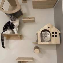 1pc Cat Wall Mansion, Sturdy Cat Wall Frame And Perch, Cat Wall Furniture For Playing, Climbing And Resting, Wooden Cat House, Max Load 12kg (26lb)