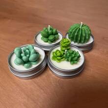 10pcs Silicone Mold Set For DIY Candle Making, Succulent And Cactus Planters Epoxy Resin Crafts, Round Planter Themed Silicone Molds For Resin Art And Decor