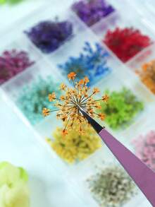 1盒/48件彩色3D干花美甲装饰 - DIY创意压花美甲用品，适合春夏季，女士充满活力的美甲配件