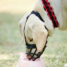 1 pièce [Confort ajustable] Muselière pour chien ajustable | Nylon | Respirante, Confort | Dressage | Toutes tailles de chiens