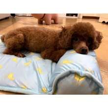 1PC Dog Cooling Mat Large Cooling Pad Summer Pet Bed For Dogs Cats Kennel Pad Breathable Pet Self Cooling Blanket Dog Crate Sleep Mat Machine Washable