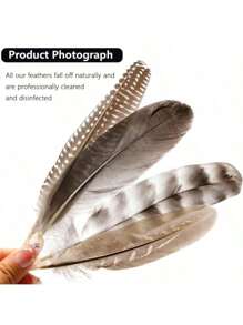 24pcs/4 Styles Natural Spotted Feathers, 6-8 Inches, Bulk Craft Supplies For Clothing, Jewelry, DIY Decoration