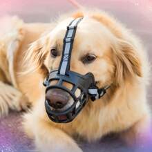 1 pièce [Confort ajustable] Muselière pour chien ajustable | Nylon | Respirante, Confort | Dressage | Toutes tailles de chiens