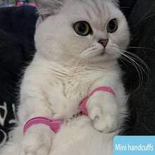 1pc Mini Handcuff Couples Keychain, Handcuff Keyring With Double Locks (Silver & Pink), Makeup/Costume/Cosplay/Stage Props, Couples' Game Props, Prisoners' Performance Props, Festival Shooting Props, Cute & Punk Gothic Design - Multicolor - View 11