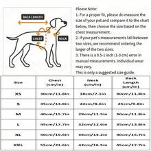 Spring & Summer Pet Dog Cat Lace V-Neck Princess Dress, Thin Material, Korean Style For Teddy, Poodle