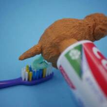 [1 Pacote] Dispensador de Pasta de Dente Engraçado de Cocô de Filhote de Cachorro, Brinquedo Spoof, Cabeça de Pasta de Dente, De Volta às Aulas